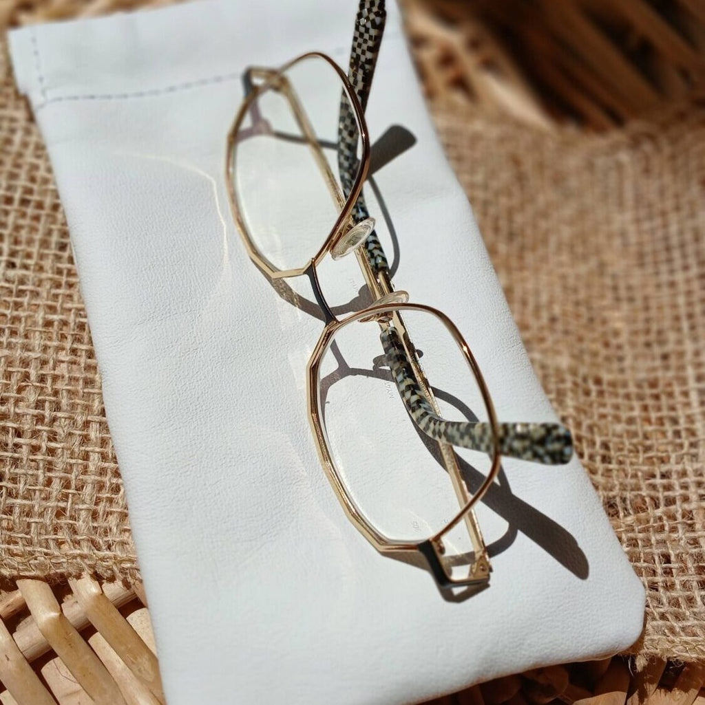 Étui-à-lunettes Glacier