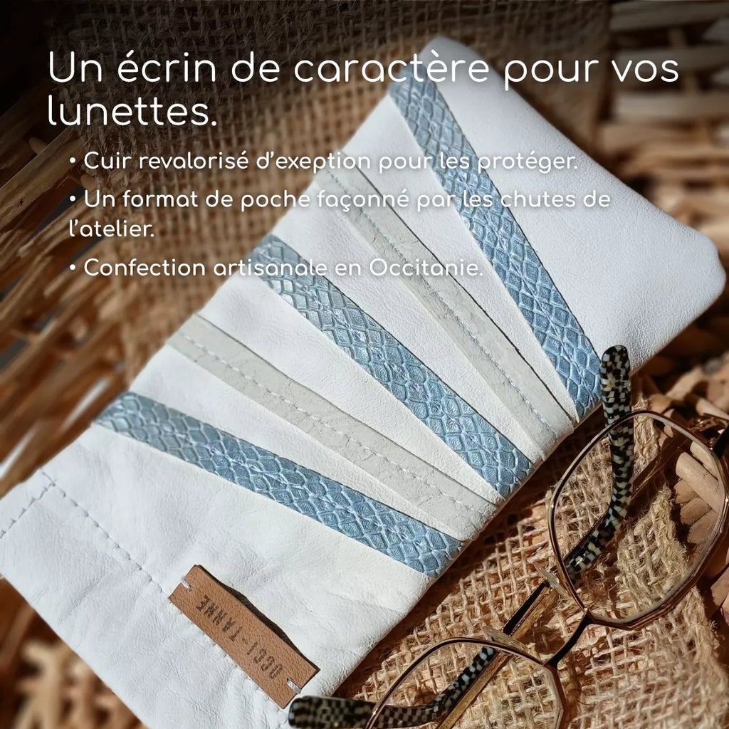 Glacier Glasses Case