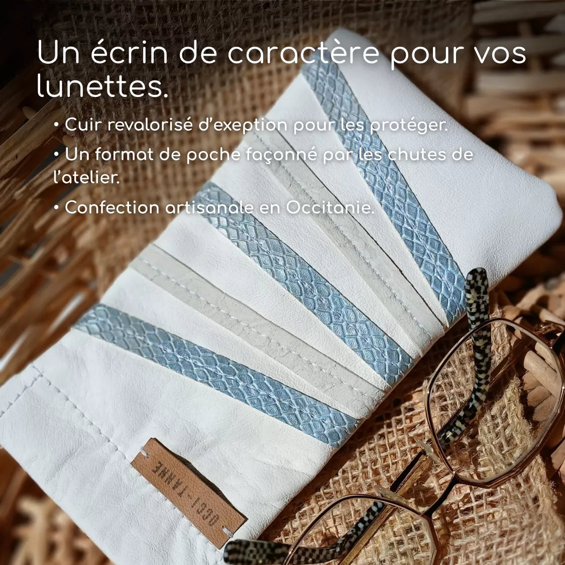 Glacier Glasses Case